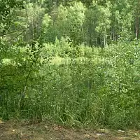 Карстовые озера Медведок 2...